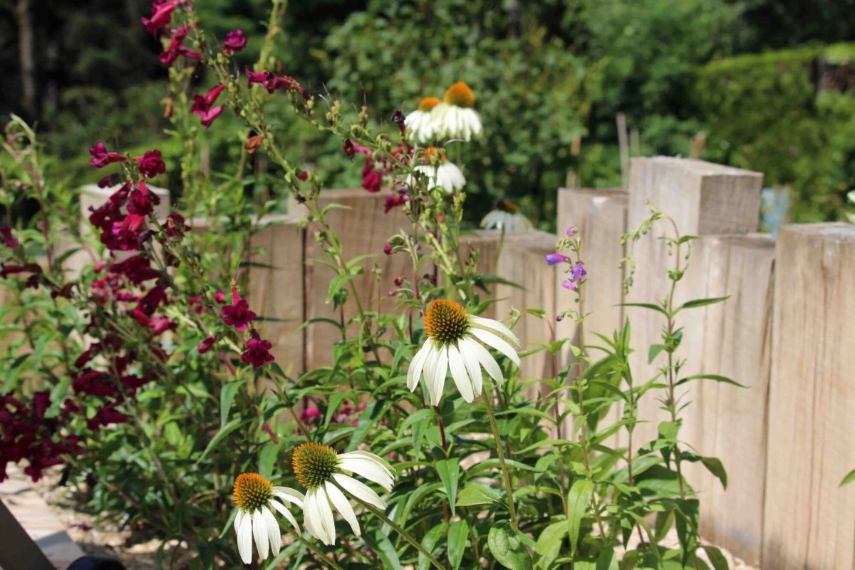 Privilégier l'utilisation de matériaux durables